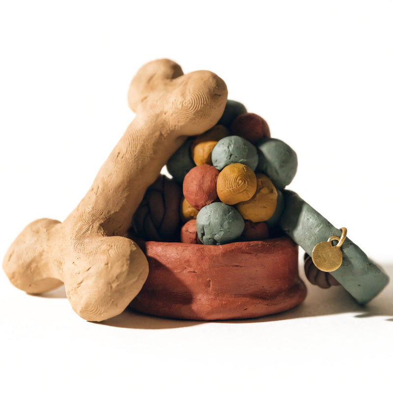 Alles rund ums Tier