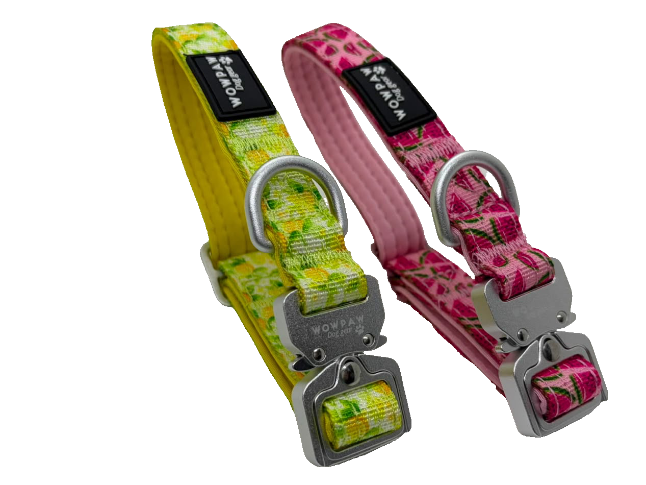 Halsband Früchte