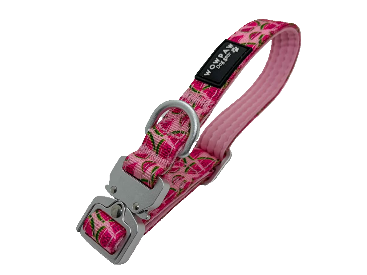 Halsband Früchte
