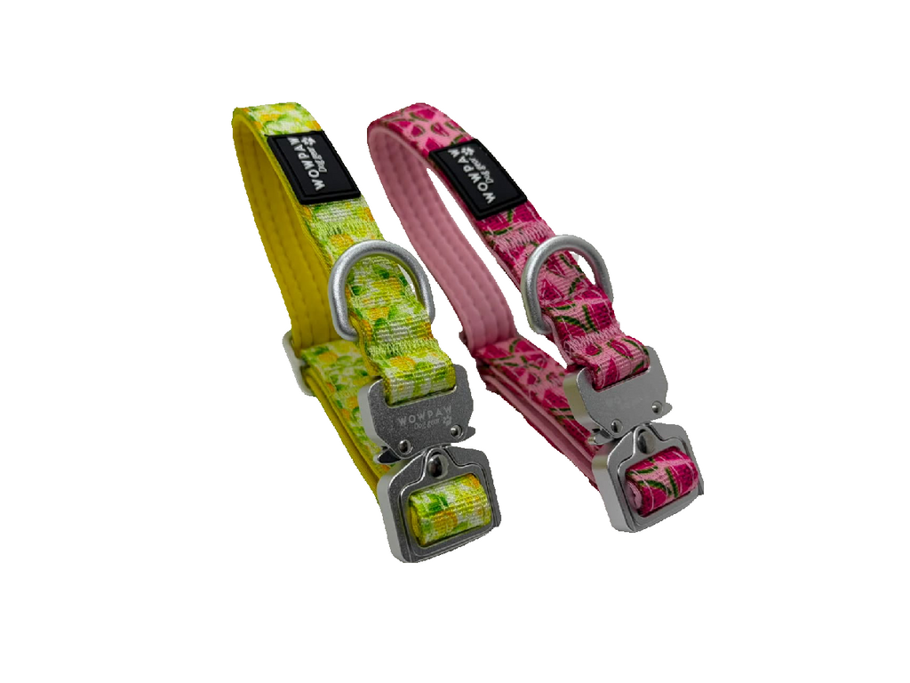 Halsband Früchte
