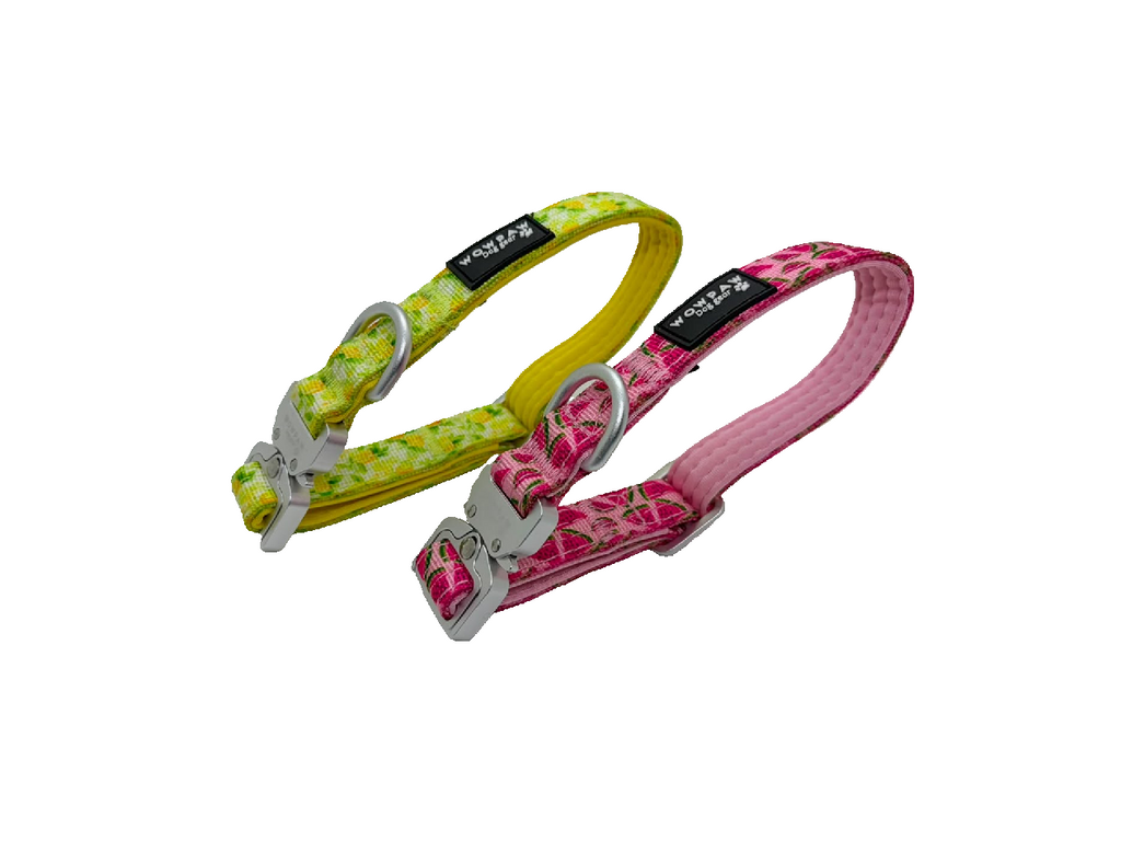Halsband Früchte