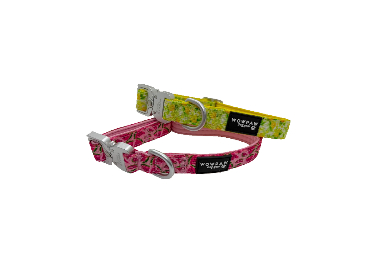 Halsband Früchte
