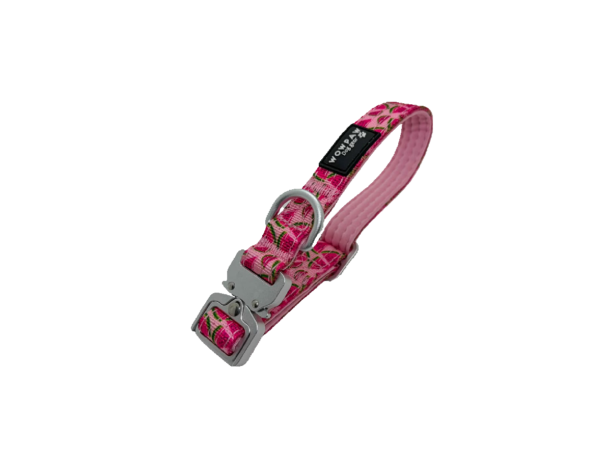 Halsband Früchte