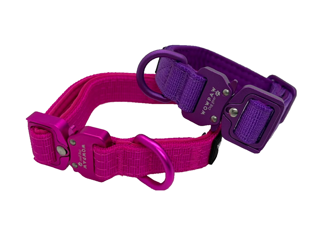 Halsband einfarbig