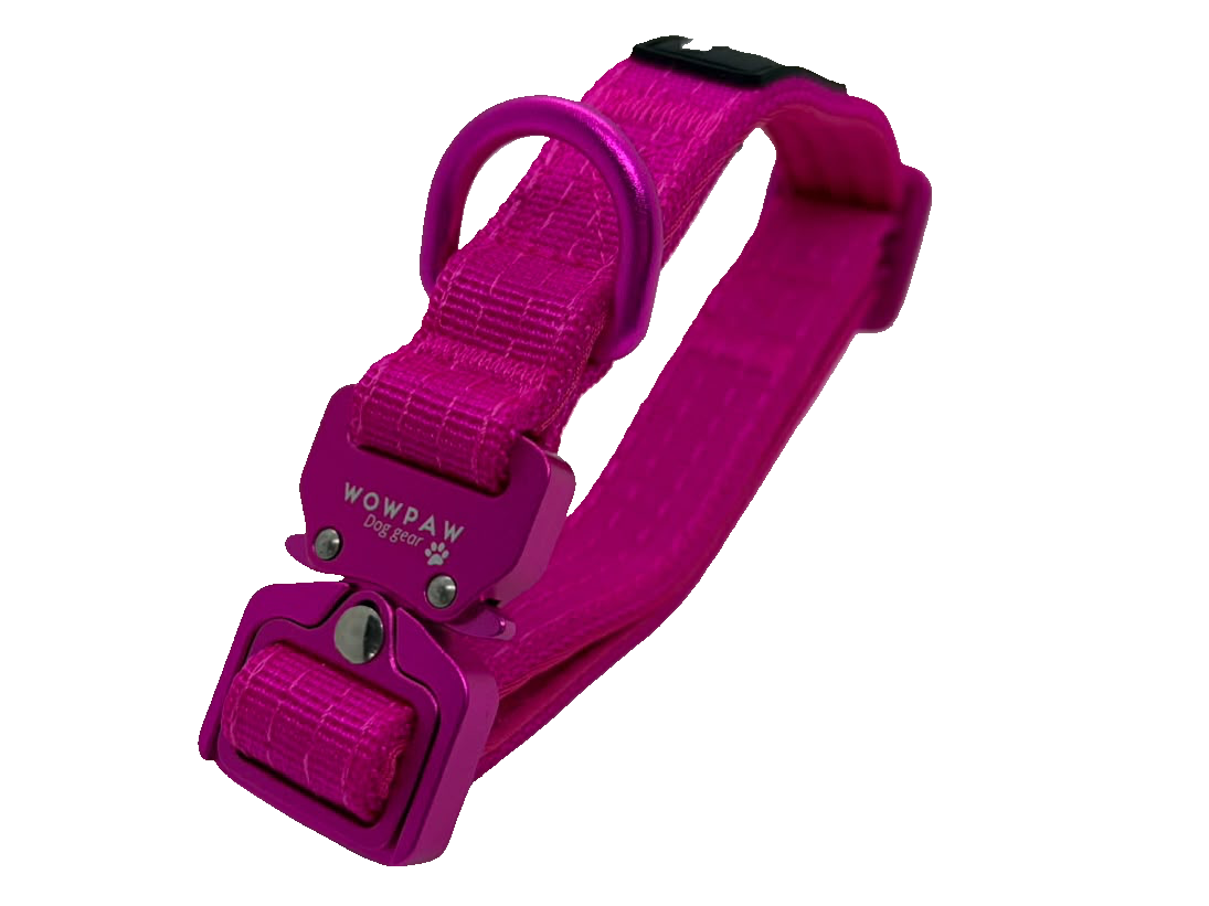 Halsband einfarbig