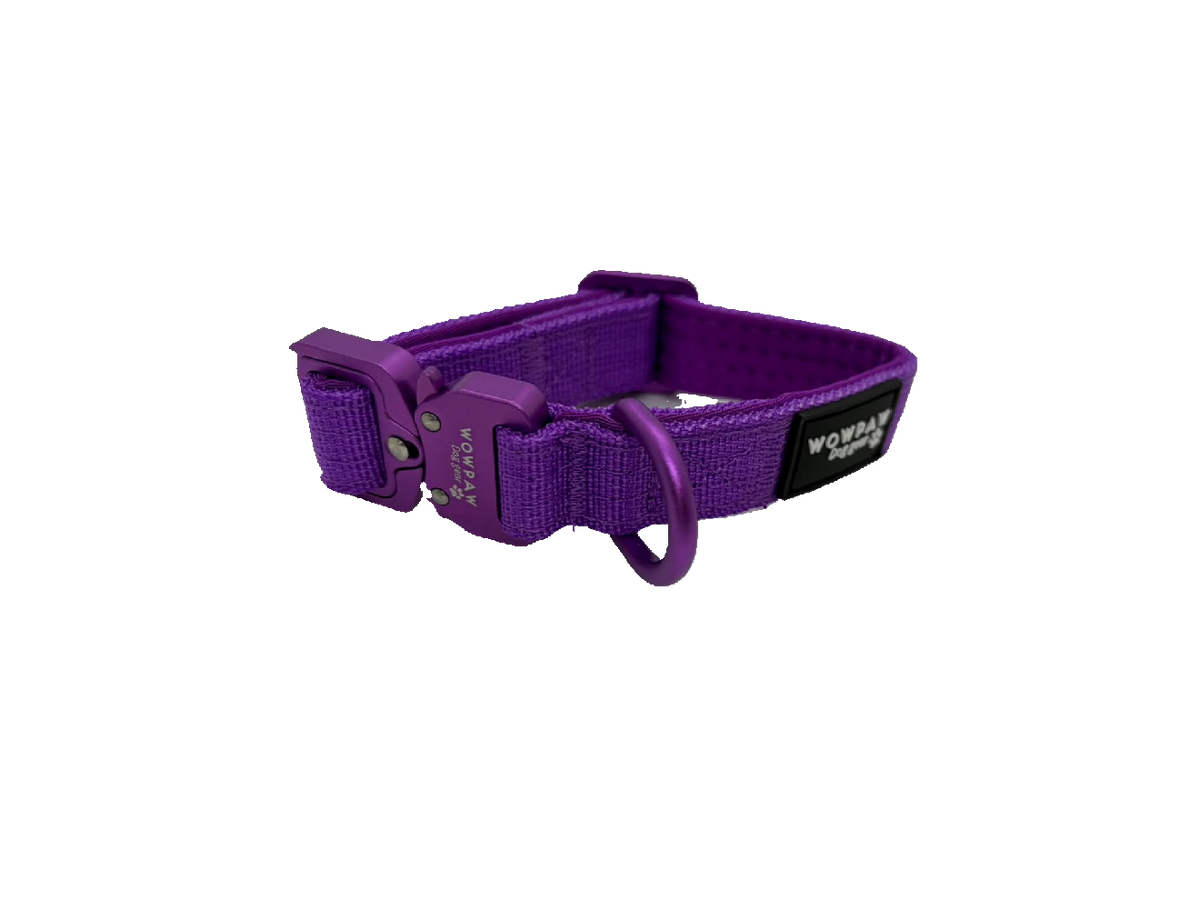Halsband einfarbig
