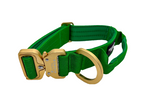 Halsband und Hundeleine