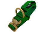 Halsband und Hundeleine