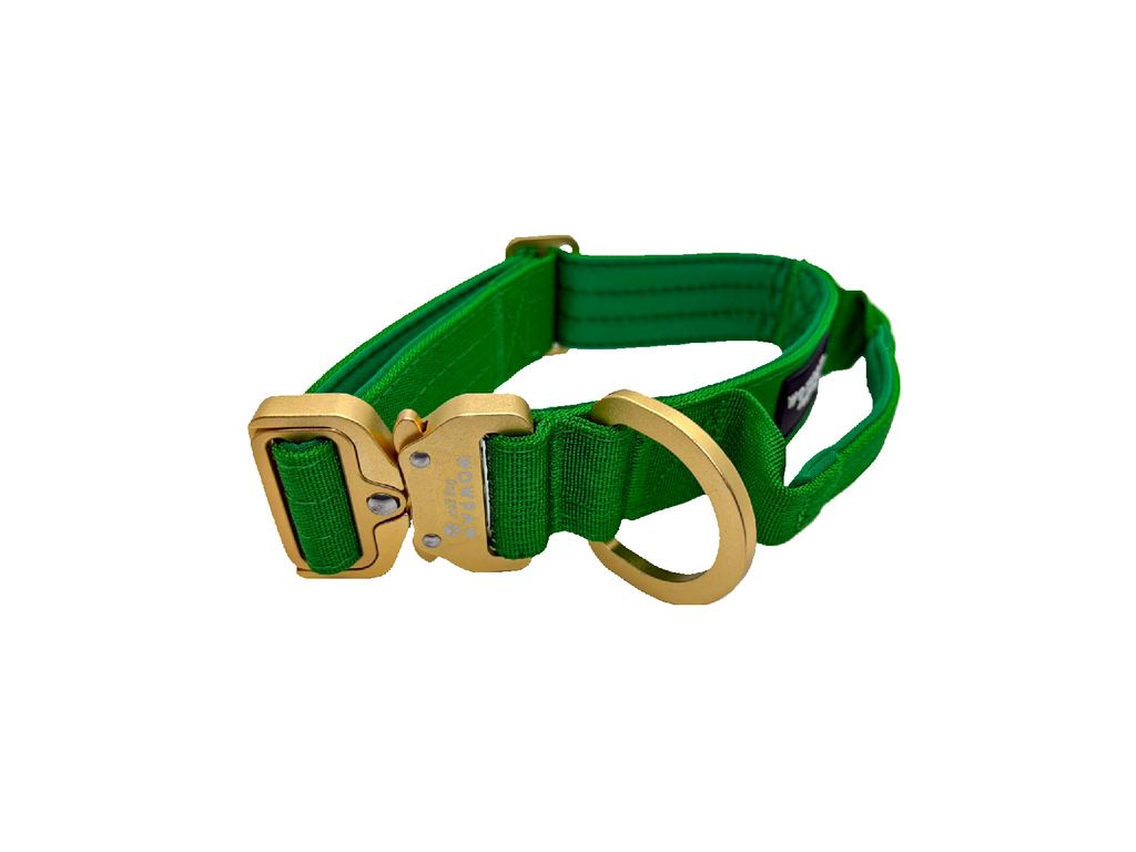 Halsband und Hundeleine