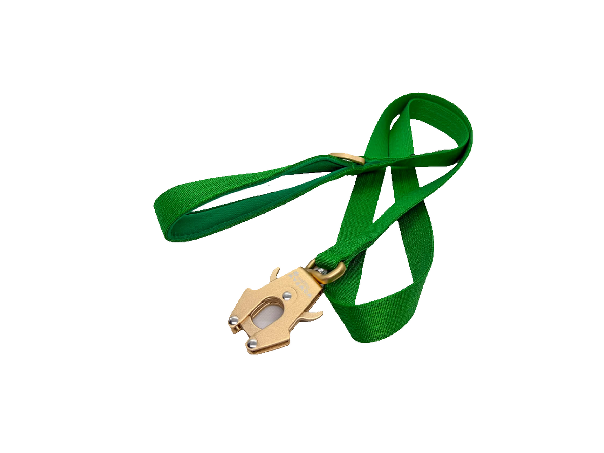 Halsband und Hundeleine